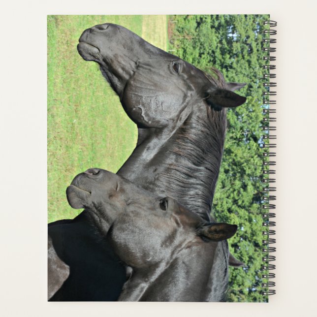 Agenda Cabezas de Caballo Negro de Perfil Pacífico (Reverso)