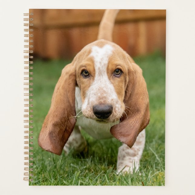 Agenda Cachorro Basset Hound Caminando (Anverso)