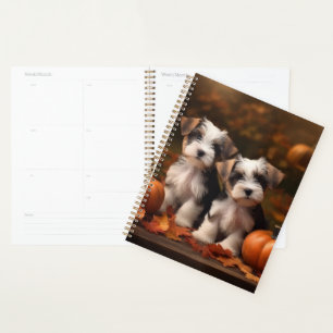 Agenda Cachorro Biewer Terrier Otoño Delicia Calabaza