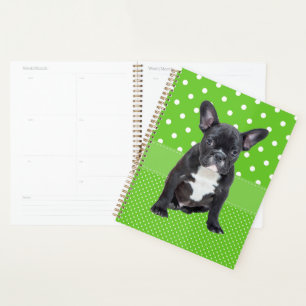 Agenda Cachorro de Bulldog Francés Adorable Lunares Verde