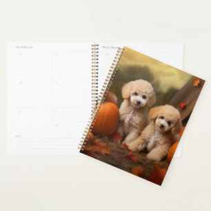 Agenda Cachorro de Caniche Delicia de Otoño Calabaza