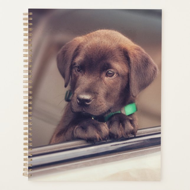 Agenda Cachorro De Labrador De Chocolate En Coche (Anverso)