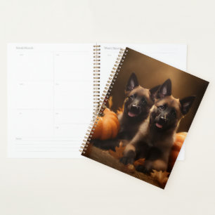 Agenda Cachorro de Pastor Belga Delicia de Otoño Calabaza