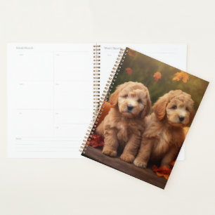 Agenda Cachorro Goldendoodle Delicia de Otoño Calabaza