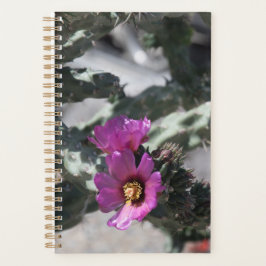 Agenda Cactus Cholla en flor