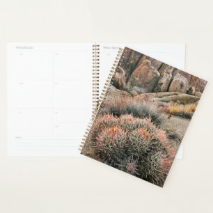 Agenda Cactus de Barril en California