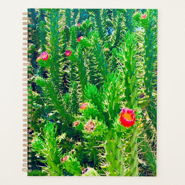 Agenda Cactus Flower Planner (Anverso)
