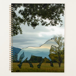 Agenda Cades Cades Blue Ridge Horse