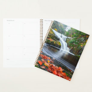 Agenda Caídas de Ender en otoño