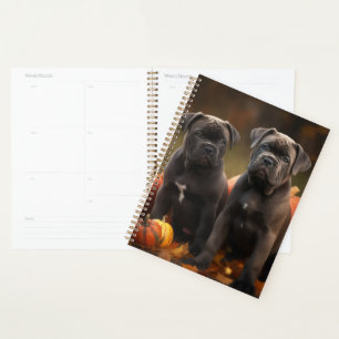 Agenda Calabaza deslumbrante Caña Corso Puppy Otoño