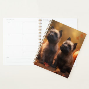 Agenda Calabaza deslumbrante de Cairn Terrier