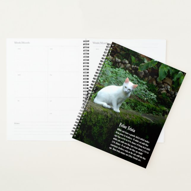 Agenda Calendario de gatos blancos (Demostración)