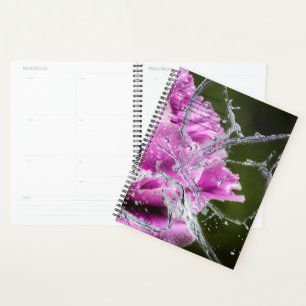 Agenda Calendario de mariposa