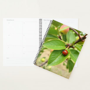 Agenda Calendario de Mariquita Afortunada