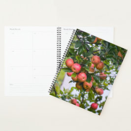 Agenda Calendario de Sauce de Apple