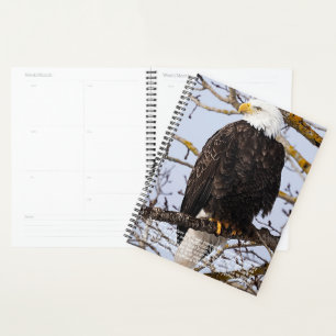 Agenda Calendario de Simbolismo de Águila