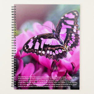 Agenda Calendario de Simbolismo de Mariposa