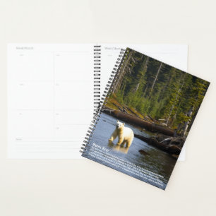 Agenda Calendario del oso espiritual