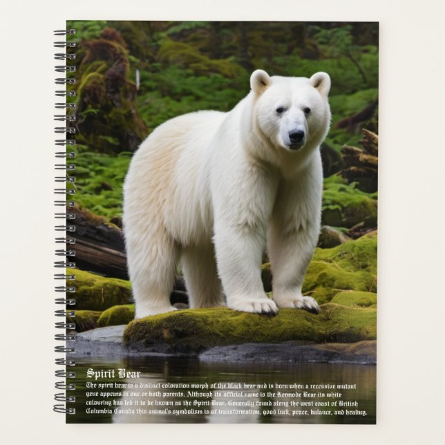 Agenda Calendario del oso espiritual (Anverso)