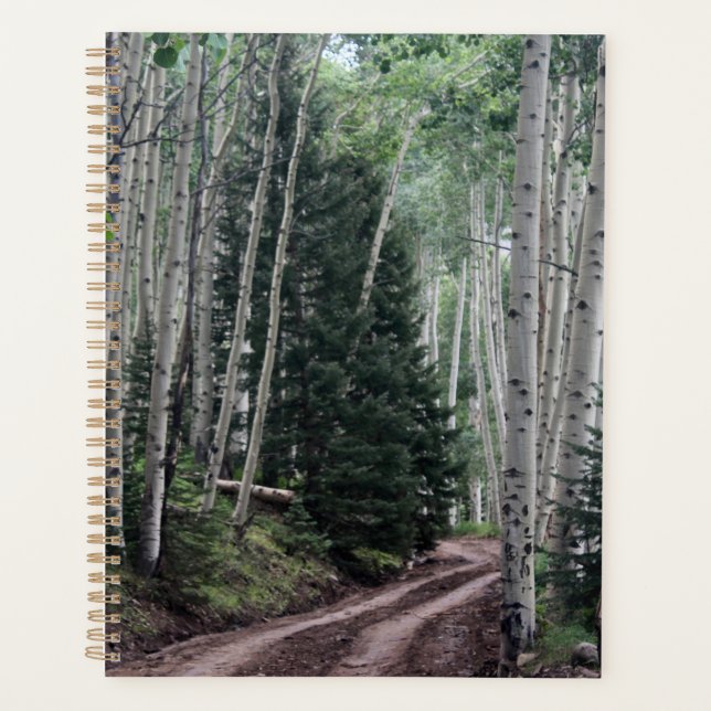 Agenda Camino a través del río Birch (Anverso)