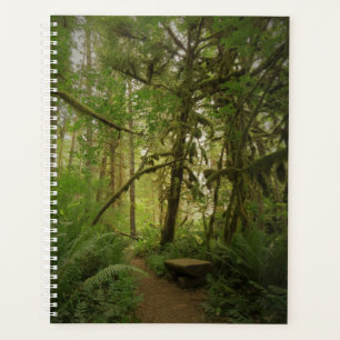 Agenda Camino verde pacífico por la selva en Washington