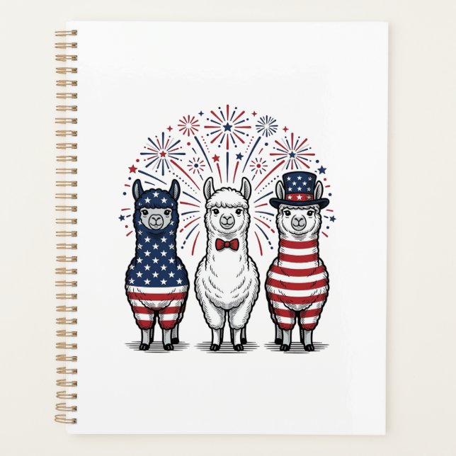 Agenda Camiseta vectorial vintage de fuegos artificiales  (Anverso)