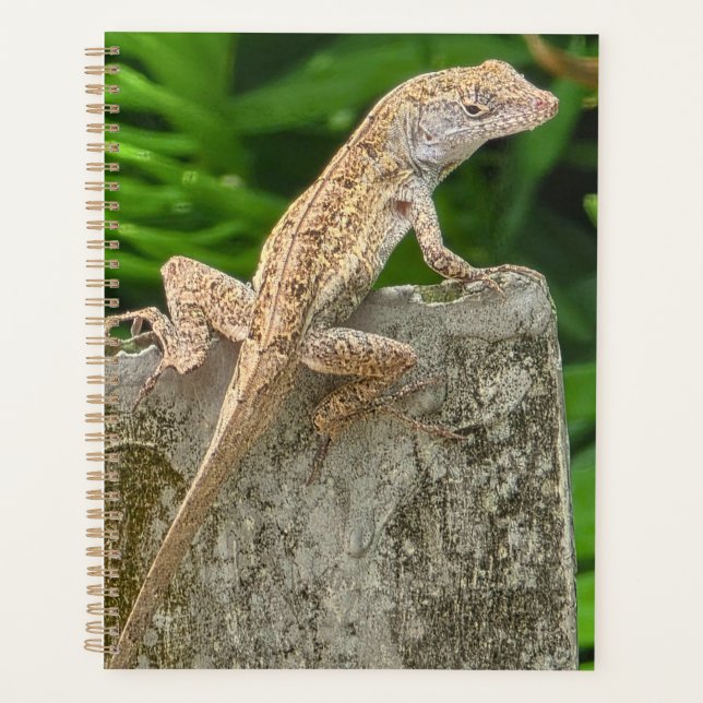 Agenda Camouflage Master (Anverso)