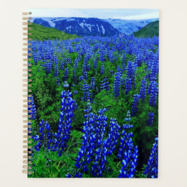 Agenda Campo de flores