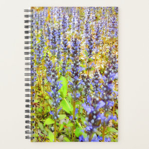 Agenda Campo de flores moradas de bonito