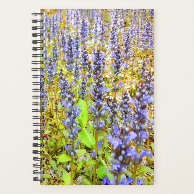 Agenda Campo de flores moradas de bonito (Anverso)