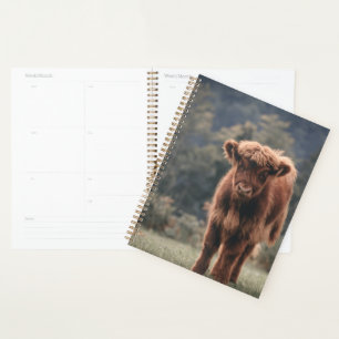 Agenda Campo de hierba de otoño de ternera de vaca de las