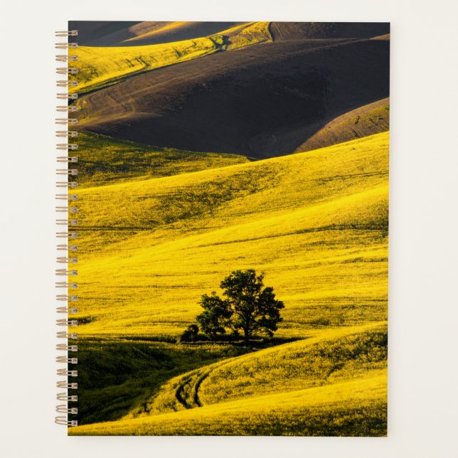 Agenda Campo de pradera amarillo en el viento (Anverso)
