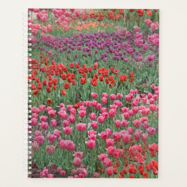 Agenda Campo De Tulipanes (Anverso)