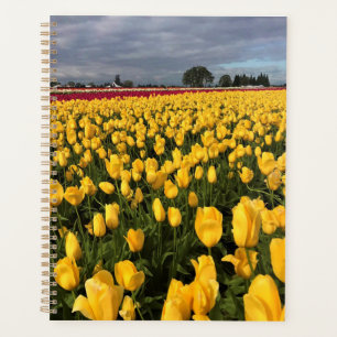 Agenda Campo de tulipanes amarillos y rojos, Oregón