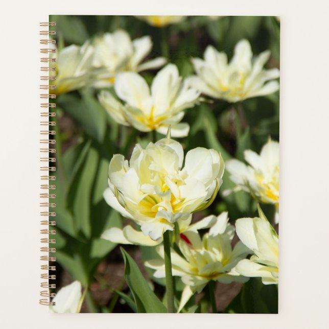 Agenda Campo de tulipanes blancos Foto (Anverso)