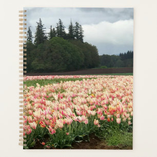 Agenda Campo de Tulipanes, Oregón