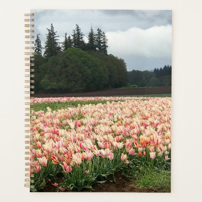 Agenda Campo de Tulipanes, Oregón (Anverso)