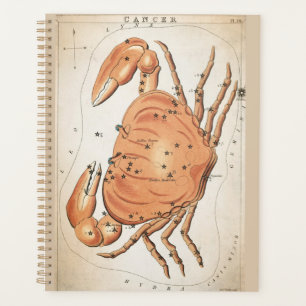 Agenda Cáncer celeste Zodiac