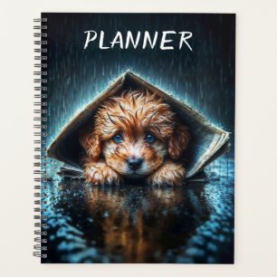 Agenda Canina húmeda y de corazón en el tiempo tormentoso