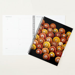 Agenda Caracoles de árbol cubano