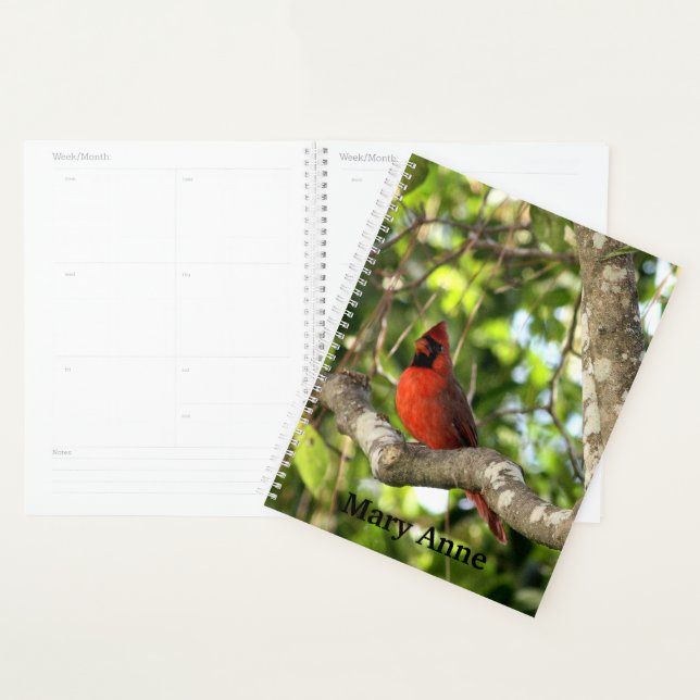 Agenda Cardenal en árbol personalizado (Demostración)