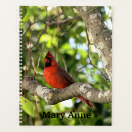 Agenda Cardenal en árbol personalizado