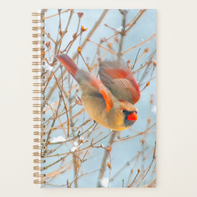 Agenda Cardenal norte volando - Fotografía original (Anverso)