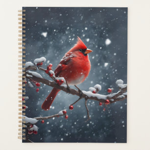 Agenda Cardenal rojo en rama de árbol en nieve
