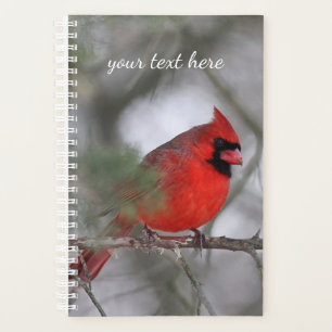 Agenda Cardenal septentrional