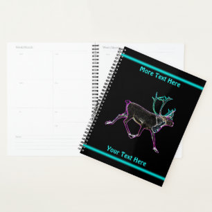 Agenda Caribou Eléctrico