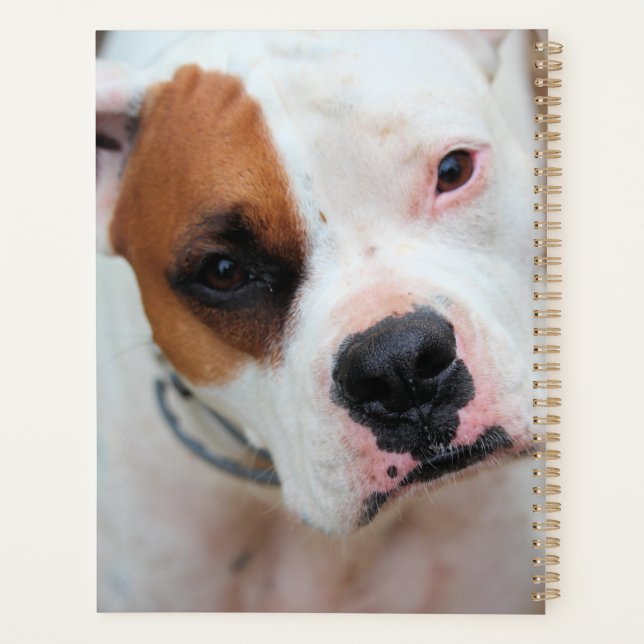 Agenda Carpeta de 3 anillas Boop (Reverso)