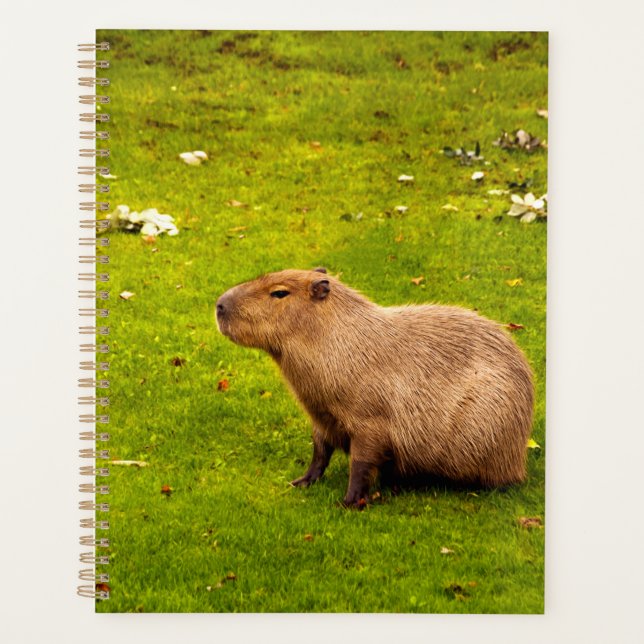 Agenda Carpincho (Anverso)
