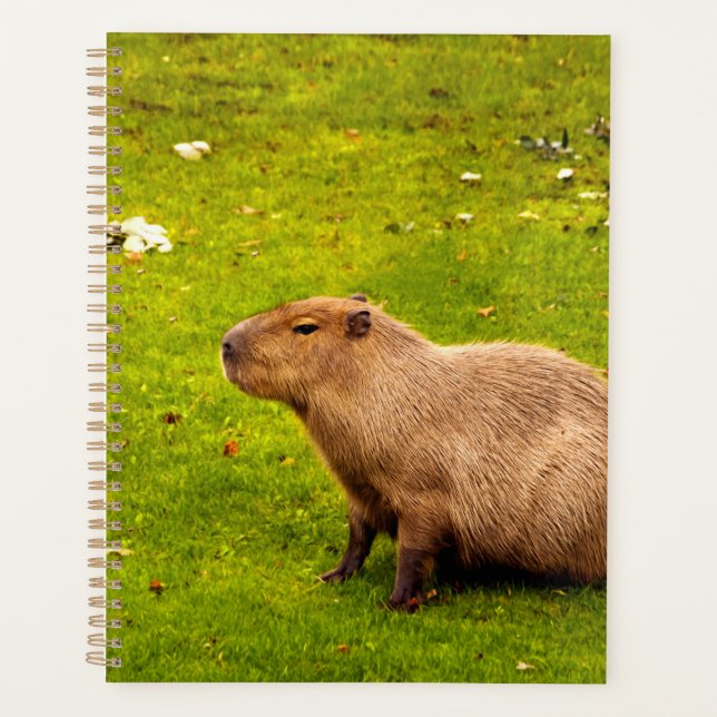 Agenda Carpincho (Anverso)