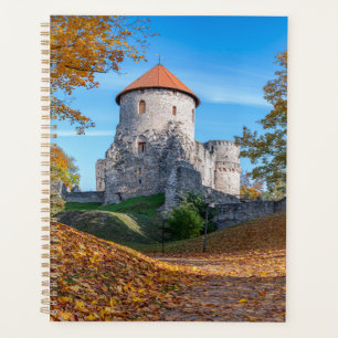 Agenda Castillo medieval rodeado de bosques